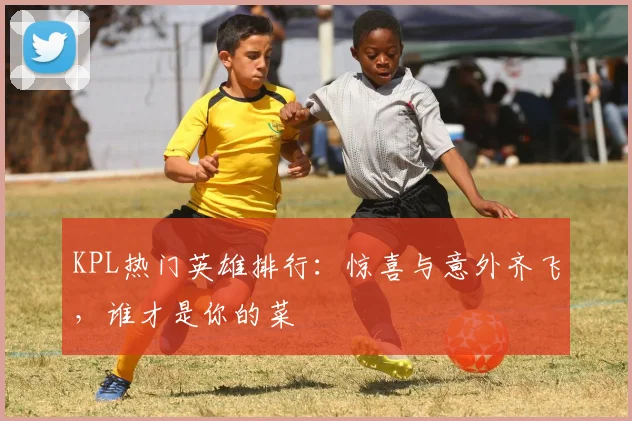 KPL热门英雄排行：惊喜与意外齐飞，谁才是你的菜